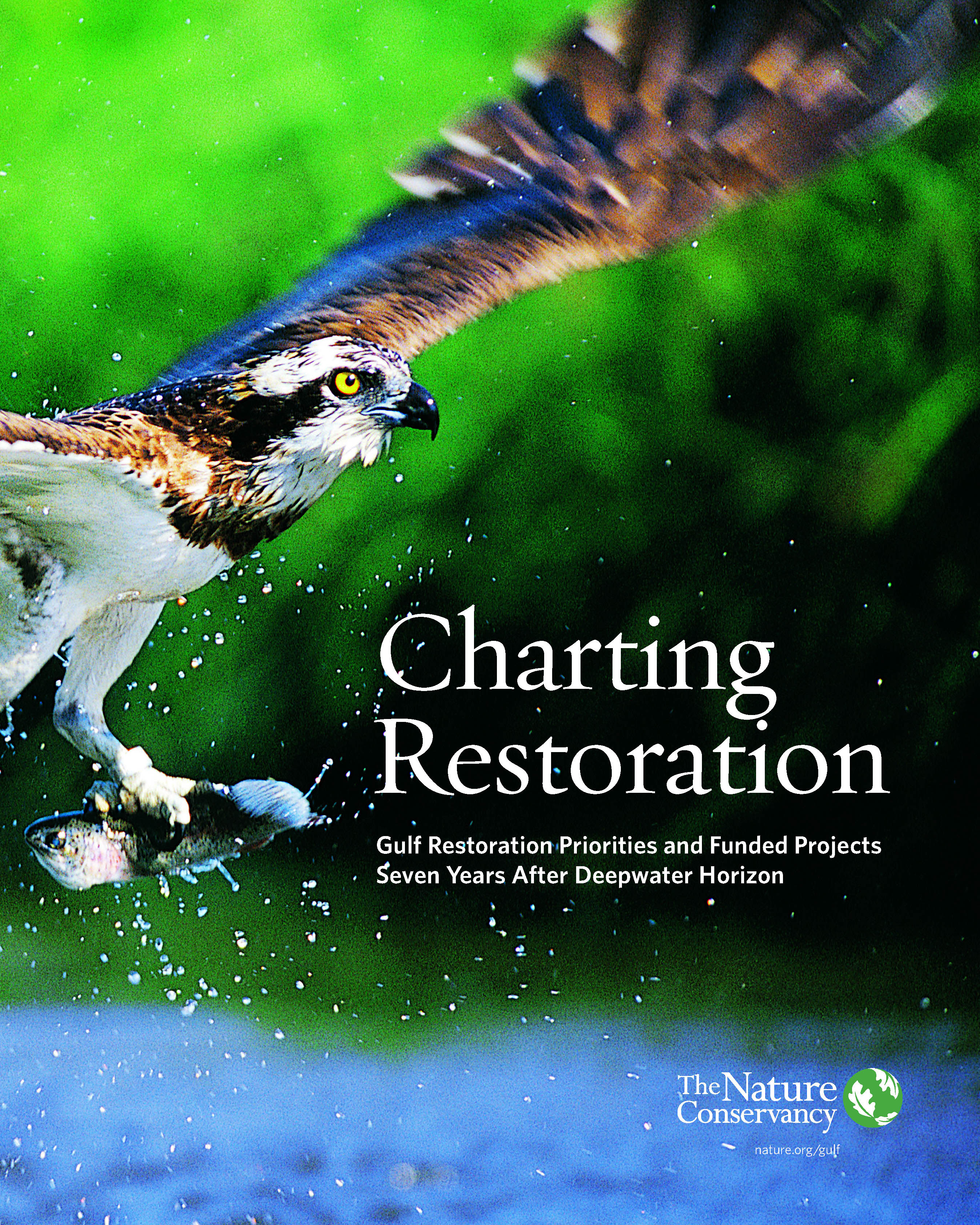 Charting Restoration 2017 Report Cover